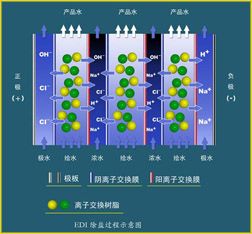 电去离子（edi）系统概述